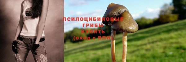 ешки Армянск